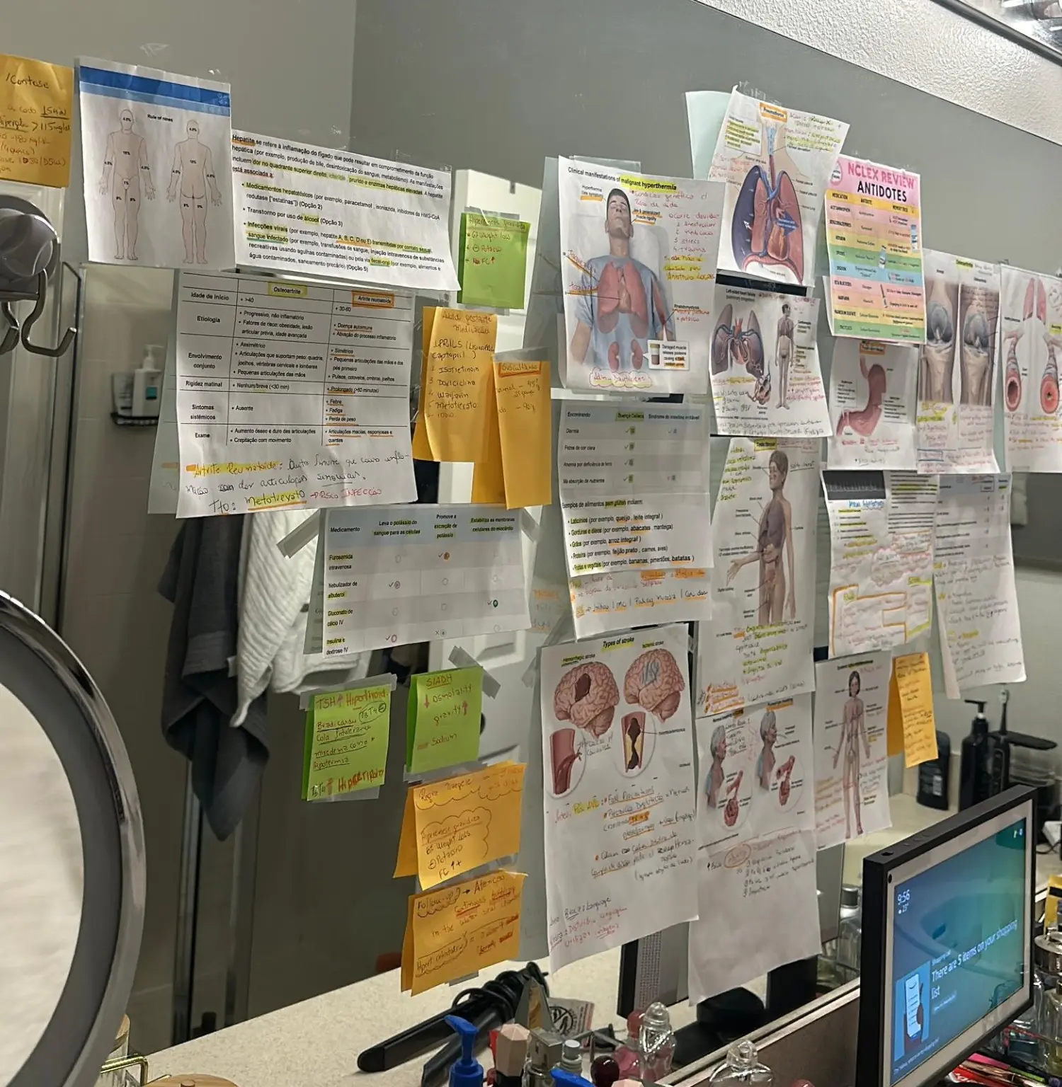 Camila’s home NCLEX study station covered with nursing diagrams, notes, and review sheets